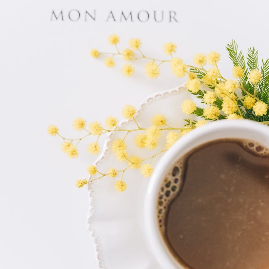 Seule l’Envie d’Aimer